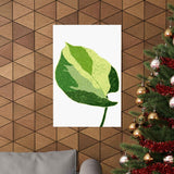 Manjula Pothos Illustrated Botanical Print – Unframed Wall Art