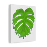 Melting Monstera Canvas Print – Botanical Wall Art