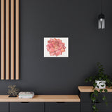 Graptosedum California Sunset Succulent Canvas Print – Botanical Wall Art