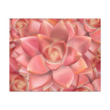 Graptosedum California Sunset Succulent Pattern Canvas Print – Botanical Wall Art