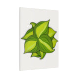 Philodendron Brasil Canvas Print – Botanical Wall Art