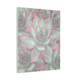 Echeveria Violet Queen Succulent Pattern Canvas Print – Botanical Wall Art
