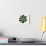 Stromanthe Triostar Canvas Print – Botanical Wall Art