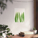 Snake Plant Botanical Print – Unframed Wall Art