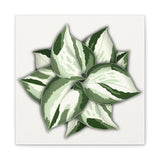 Manjula Pothos Canvas Print – Botanical Wall Art