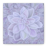 Graptopetalum Murasaki Succulent Pattern Canvas Print – Botanical Wall Art
