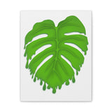 Melting Monstera Canvas Print – Botanical Wall Art