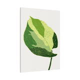Manjula Pothos Illustrated Canvas Print – Botanical Wall Art