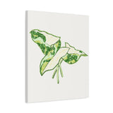 Marble Syngonium Canvas Print – Botanical Wall Art