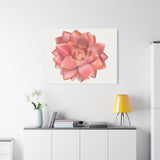 Graptosedum California Sunset Succulent Canvas Print – Botanical Wall Art