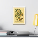 Magnolia and Eastern Tiger Swallowtail, Botanical Illustration on Canvas