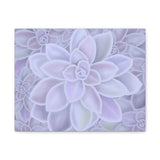 Graptopetalum Murasaki Succulent Pattern Canvas Print – Botanical Wall Art