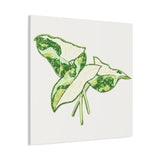 Marble Syngonium Canvas Print – Botanical Wall Art