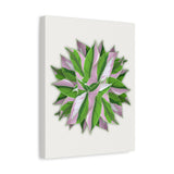 Syngonium Tricolor Pattern Canvas Print – Botanical Wall Art