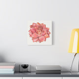 Graptosedum California Sunset Succulent Canvas Print – Botanical Wall Art