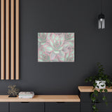 Echeveria Violet Queen Succulent Pattern Canvas Print – Botanical Wall Art
