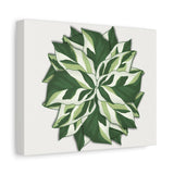 Calathea White Fusion Canvas Print – Botanical Wall Art