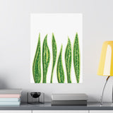Snake Plant Botanical Print – Unframed Wall Art