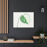 Monstera Albo Canvas Print – Botanical Wall Art