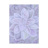 Graptopetalum Murasaki Succulent Pattern Canvas Print – Botanical Wall Art