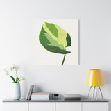 Manjula Pothos Illustrated Canvas Print – Botanical Wall Art