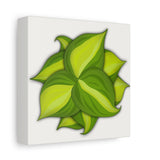 Philodendron Brasil Canvas Print – Botanical Wall Art