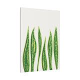 Snake Plant Canvas Print – Botanical Wall Art