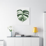 Melting Monstera Albo Canvas Print – Botanical Wall Art