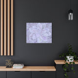 Graptopetalum Murasaki Succulent Pattern Canvas Print – Botanical Wall Art