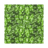 Aglaonema Pictum Canvas Print – Botanical Wall Art