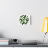 Calathea White Fusion Canvas Print – Botanical Wall Art