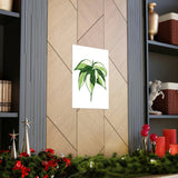 Philodendron Cream Splash Botanical Print – Unframed Wall Art