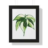 Philodendron Cream Splash Framed Print – Botanical Wall Art