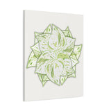 Snow Queen Pothos Canvas Print – Botanical Wall Art