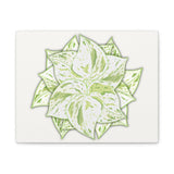 Snow Queen Pothos Canvas Print – Botanical Wall Art