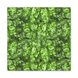 Aglaonema Pictum Canvas Print – Botanical Wall Art