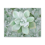 Pachyveria Haagei Succulent Pattern Canvas Print – Botanical Wall Art