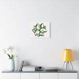 Manjula Pothos Canvas Print – Botanical Wall Art
