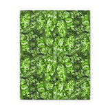 Aglaonema Pictum Canvas Print – Botanical Wall Art