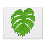 Melting Monstera Canvas Print – Botanical Wall Art