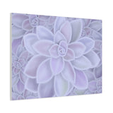 Graptopetalum Murasaki Succulent Pattern Canvas Print – Botanical Wall Art