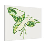 Marble Syngonium Canvas Print – Botanical Wall Art
