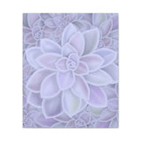 Graptopetalum Murasaki Succulent Pattern Canvas Print – Botanical Wall Art