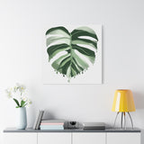 Melting Monstera Albo Canvas Print – Botanical Wall Art