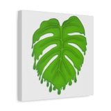 Melting Monstera Canvas Print – Botanical Wall Art