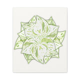 Snow Queen Pothos Canvas Print – Botanical Wall Art