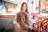 Woman holding a large brown dog on a porch with a colorful swing set in the background.
