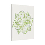 Snow Queen Pothos Canvas Print – Botanical Wall Art