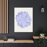 Graptopetalum Murasaki Succulent Canvas Print – Botanical Wall Art