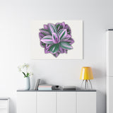 Tradescantia Nanouk Canvas Print – Botanical Wall Art